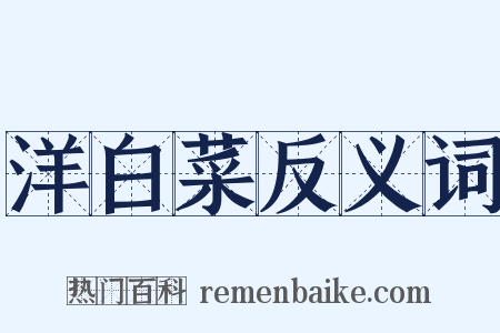 洋白菜反义词是什么意思的图片